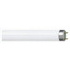 Лампа люминесцентная L36/765 G13 OSRAM